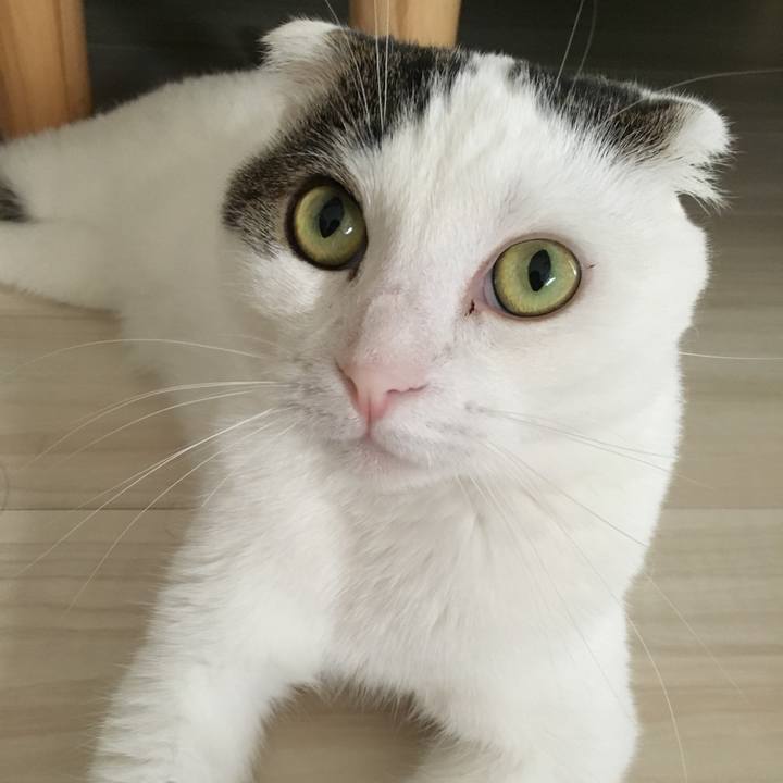 3a6b379c fcb0 4bf9 8c84 61b937424a14