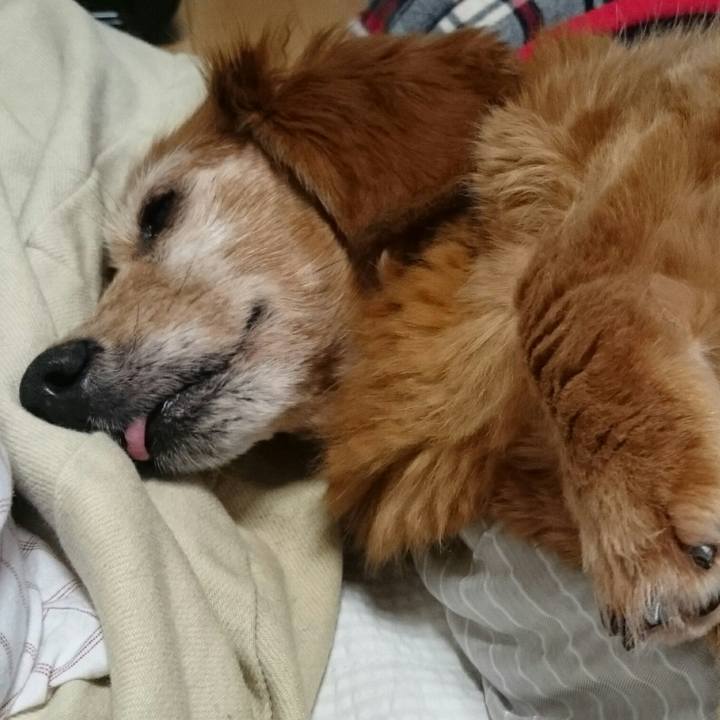 3a6b3dfa b7af 4f0a b75f 5db2440e8b61