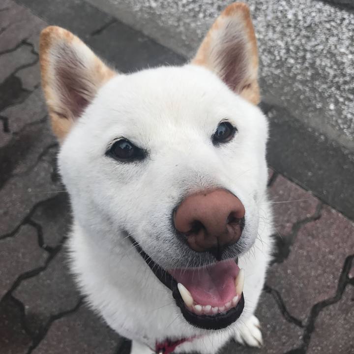 3a6ba6d6 76cd 4518 9ca9 0e2c2f13f8b2