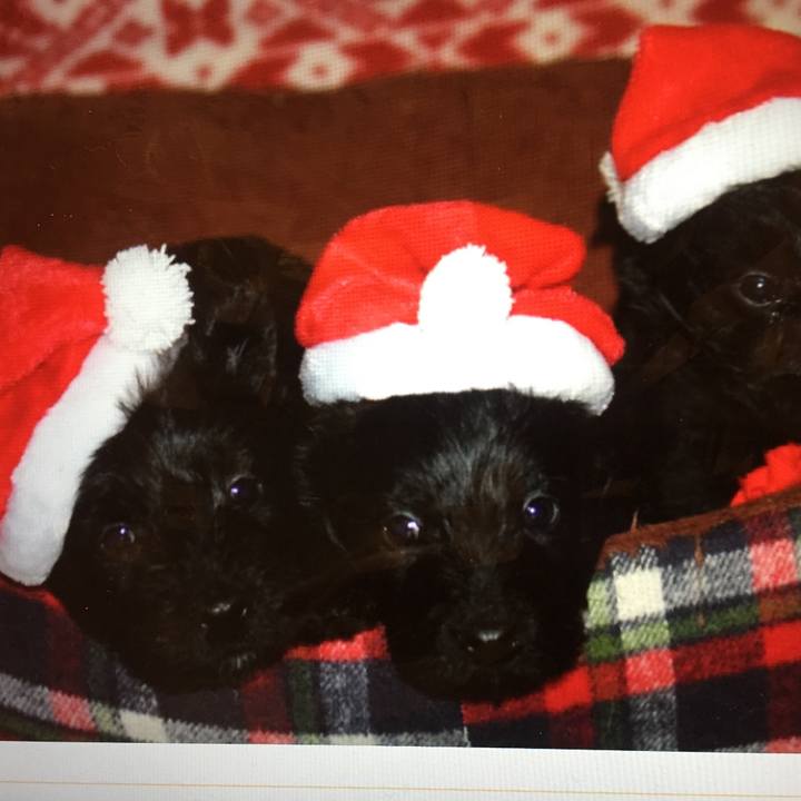 3a6ca093 0015 4561 a5e7 9c0ccb21cc9a