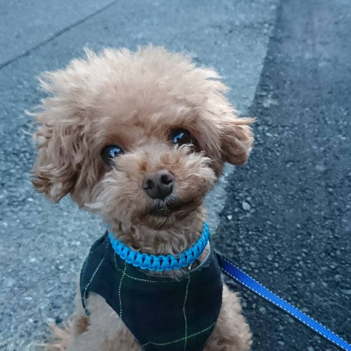 3a6cafb3 d735 4b6d ace3 e8c1e27eed3c