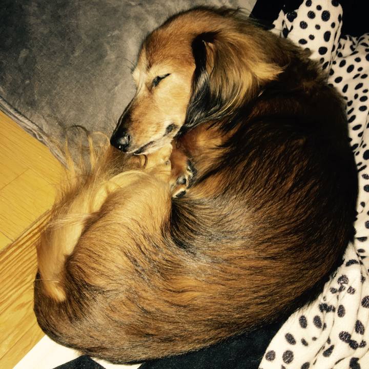 3a6dc3bd 7636 401c ae33 144d72e519e5