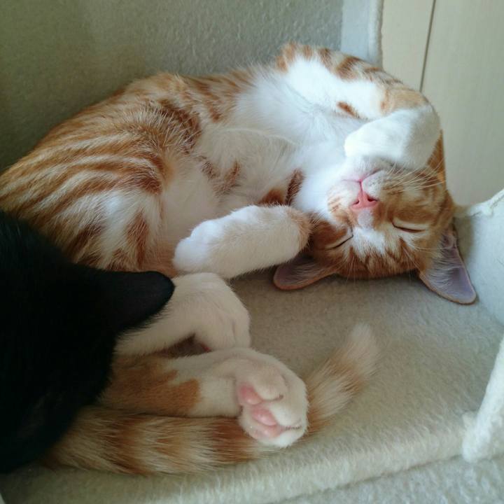 3a6dc777 0131 44d9 9737 4e3665502ec4