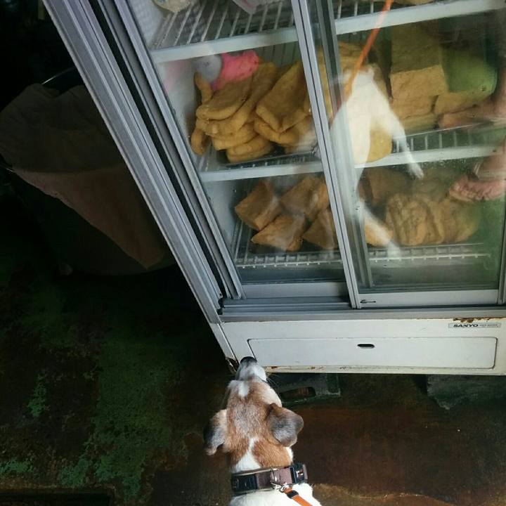 3a6e2179 ced4 4cf2 abb9 4d615c9e2b83