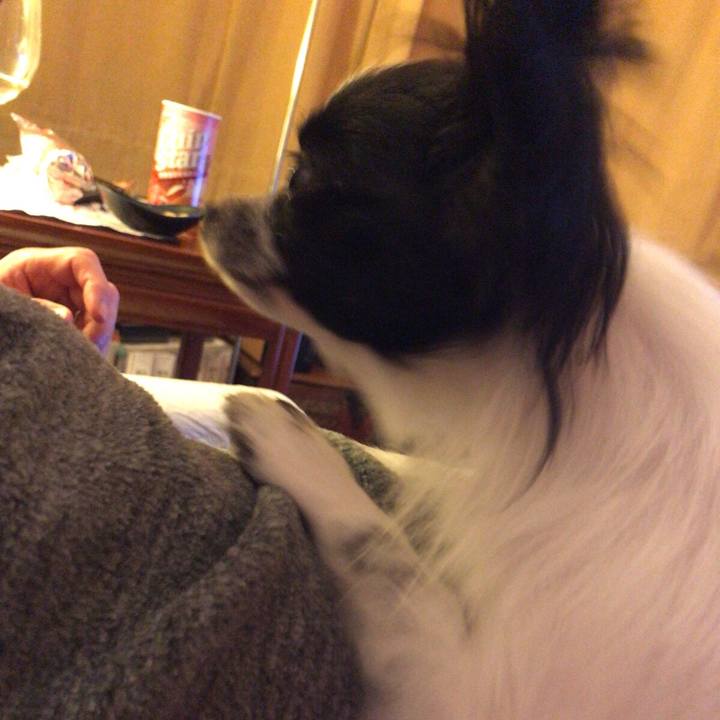 3a6e3edd eebd 4342 809d 7a6d8603ae15