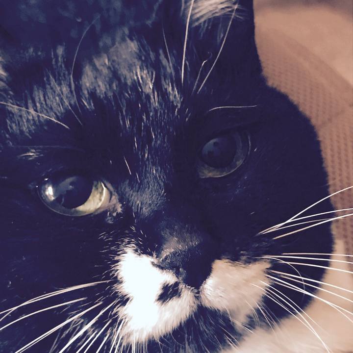 3a6e75b7 b2d3 4236 a615 a2b251090e79