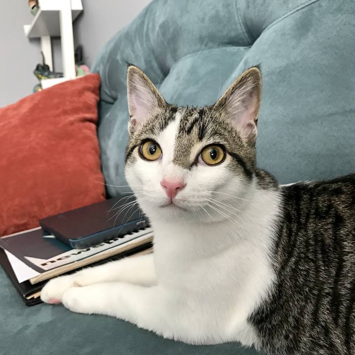 3a6eb0b3 93b4 4971 af45 e2436a849c1f