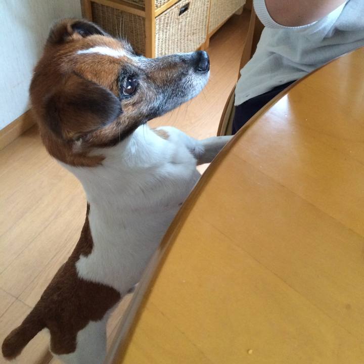 3a6ee238 4aad 443a b8e2 35f867f416ea