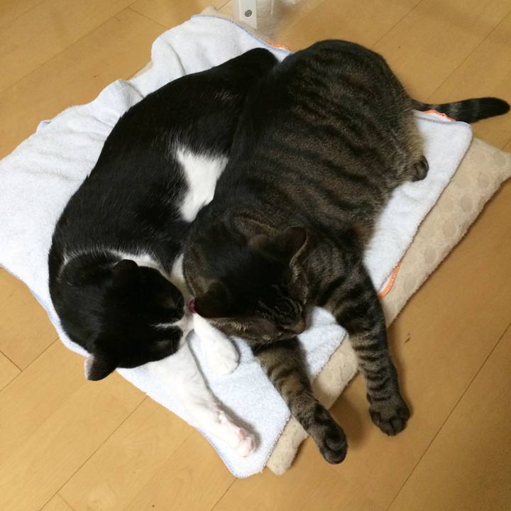 3a6f0d67 ae5b 488e b9cb a424621423fc