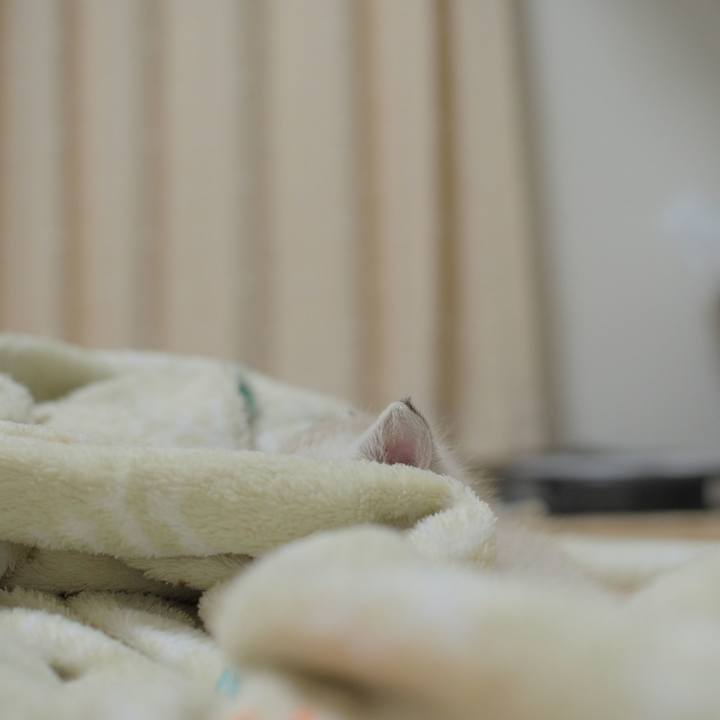 3a705d2b b26d 4521 896b 5a8c564578e8