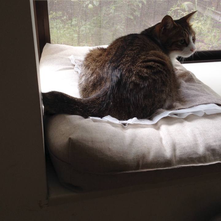 3a7073a4 77db 4bb2 b34b beb7ac4191c9