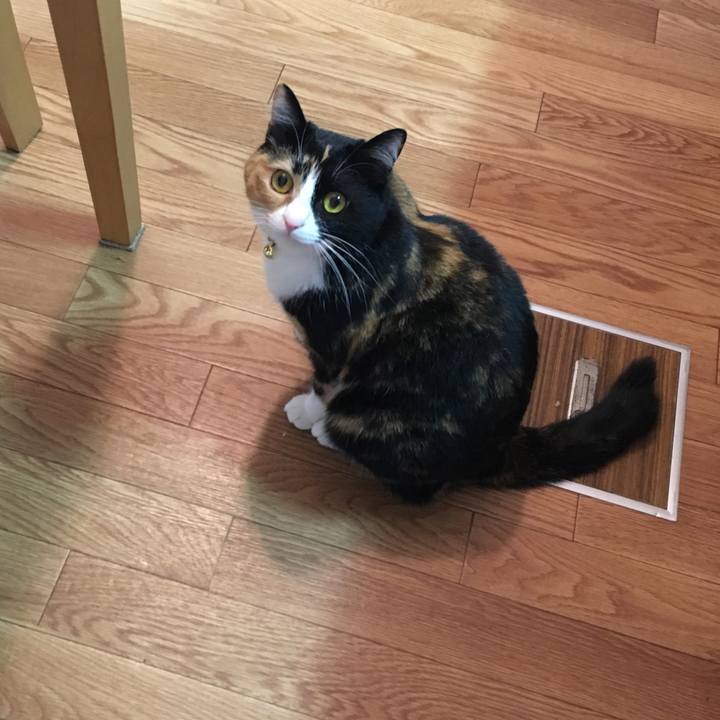 3a71af86 51f0 4c93 8cfa fdde3b20865f