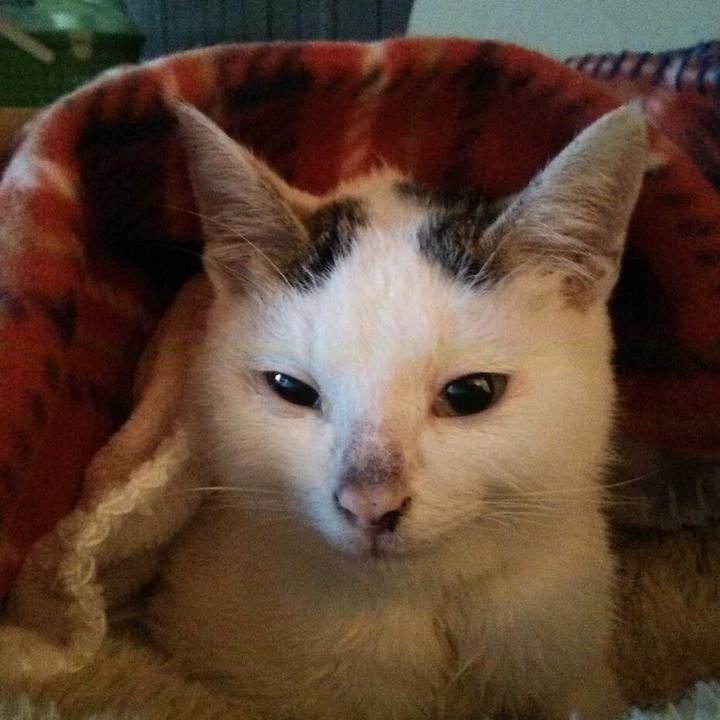 3a726af5 18d1 48a0 8ad3 9de74092b9f7