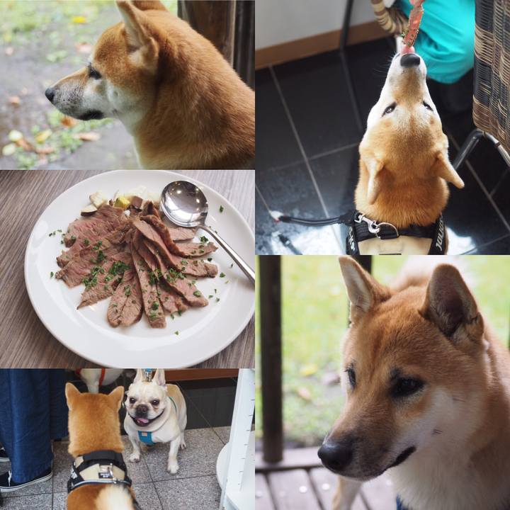 3a72e34e aba5 4f96 817d 54af8bd9377b