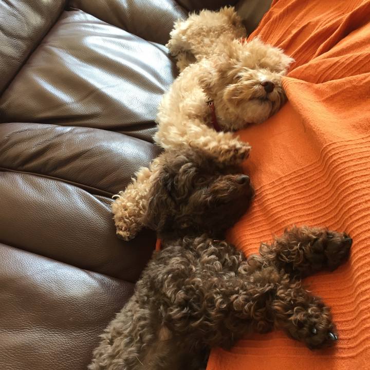 3a732db7 aabd 4b1e 815f 5ca55c7a5ae7