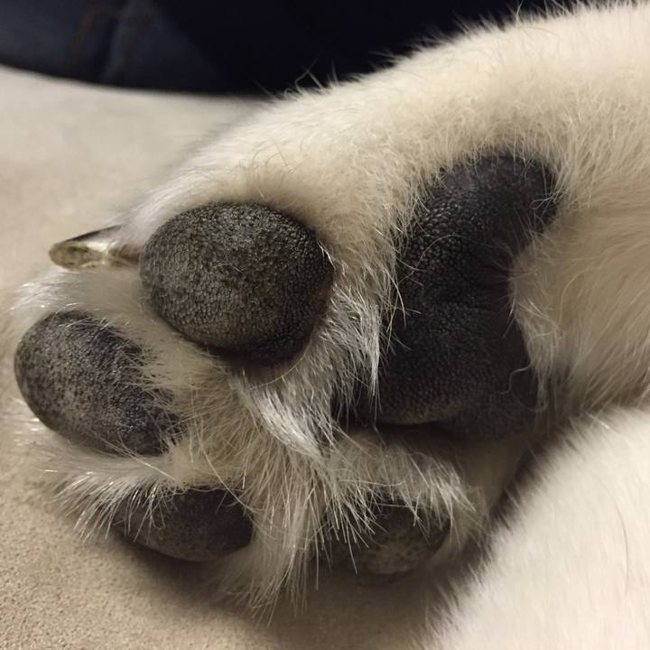 3a73b647 3026 4a8d a3aa 62a9f206ea3c