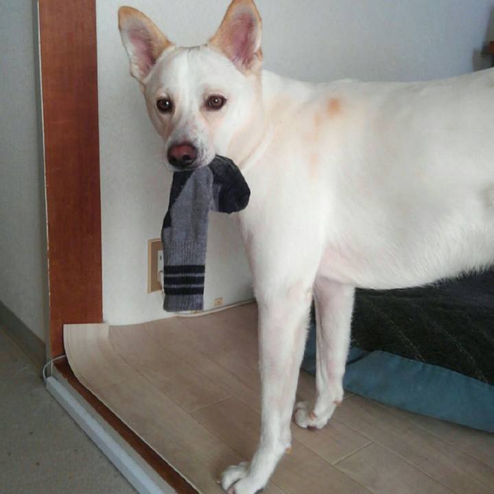 3a73e61a c962 4092 9dc3 47153ed65bc6