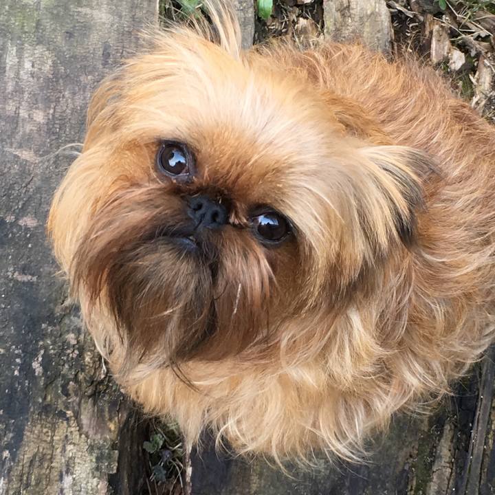 3a74ba00 4d68 42da 9d72 cc8ae68037ee