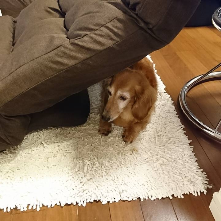 3a74c8ad 8d3e 4ee1 8375 4b20e4b8637d