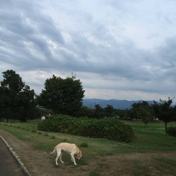 3a74ce9f 7687 4671 ae72 636bb64eed8c