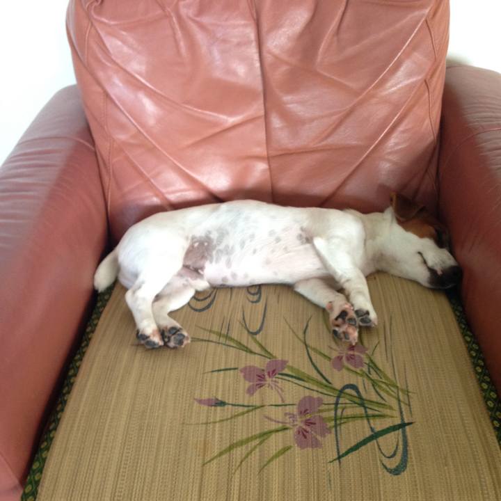 3a74dc52 e80b 4ecf 80f5 8a811595947d