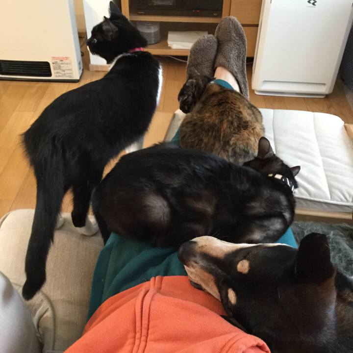 3a750b1a 8569 4861 b861 3e0cf78de4ea