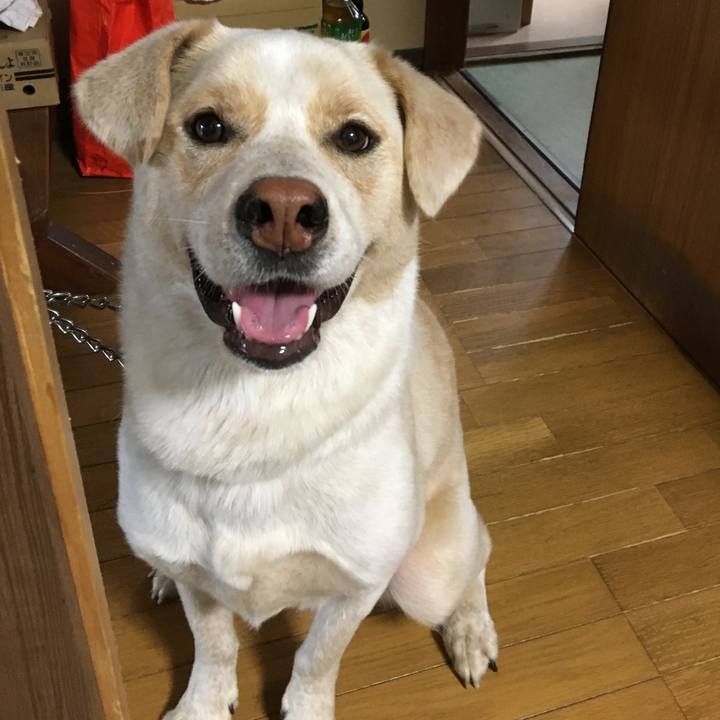 3a755c35 e5ba 4615 969f 3bd9d347ebf6