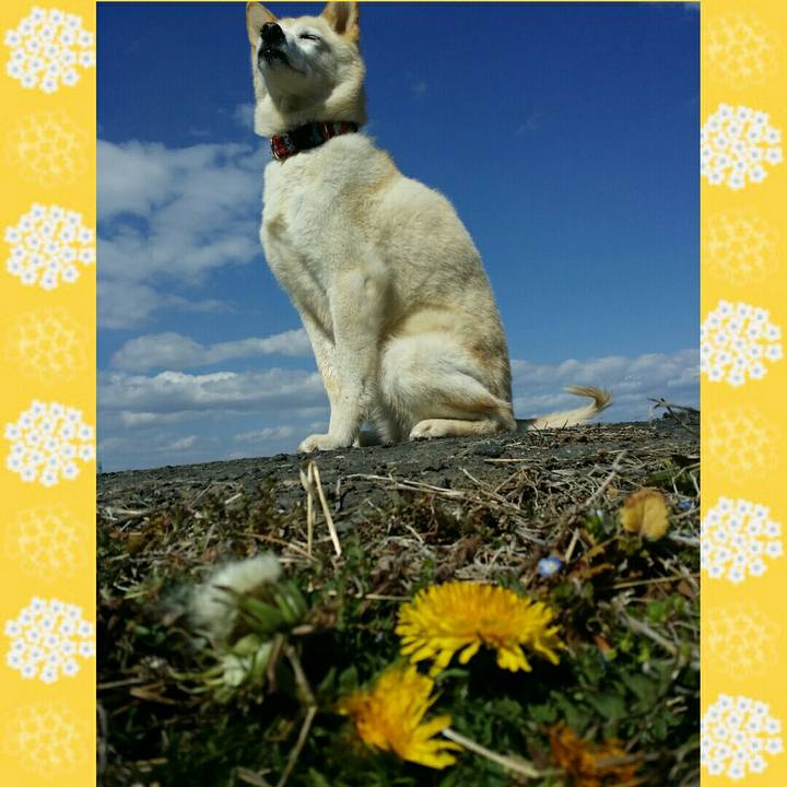 3a757d4b 218c 4d42 9097 b5c4e3b498f5