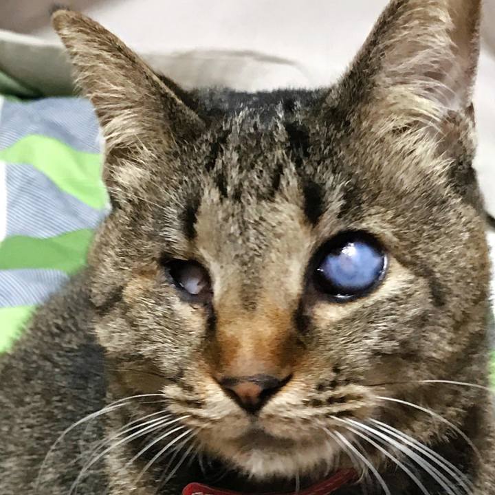 3a765fd2 17e5 4a0b a5c6 2a775c7303e3