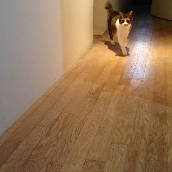 3a76f9af 0172 45b9 891b c5b986faf3f7