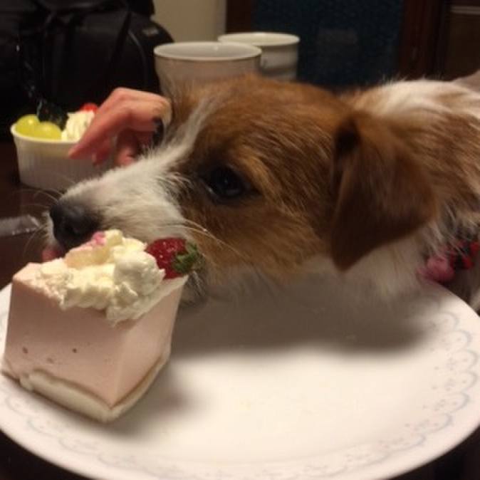 3a778c91 b201 444e b444 9497695c1265