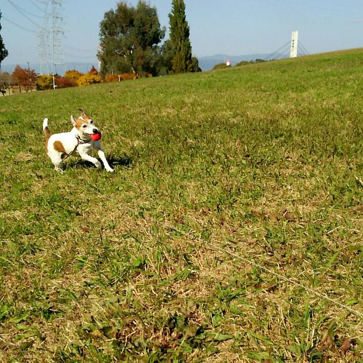 3a779f39 2a01 4b4d b39c 720d8369cc7a