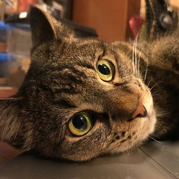 3a77b4a4 2c18 4867 8ac2 c8eba1d95bd2