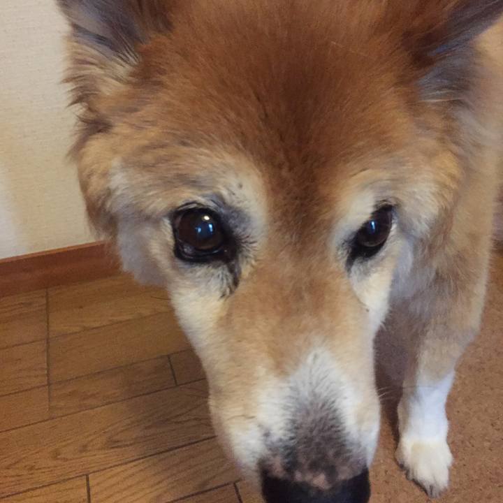 3a77cfef b277 43bd 95fb c87b75064af8