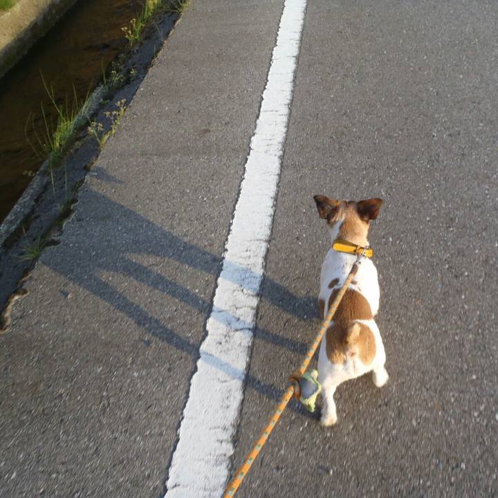 3a785dba 0808 4495 a350 97af5a4dc640