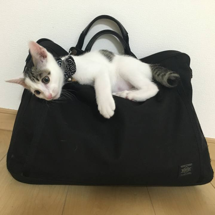 3a78983f 06e6 4223 a96e 17b5f3f62f47