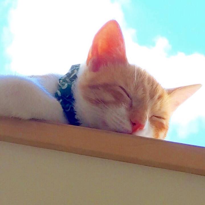 3a78eca2 3366 4f5d 8b6f 0b6a1dd1659f