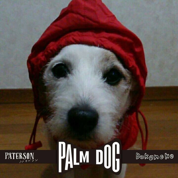 3a793c33 9fec 43ab 9ed3 673097f1b30a