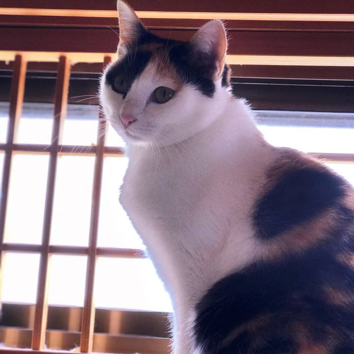 3a7942b1 11ac 44dc 8325 d5ef0e95155f