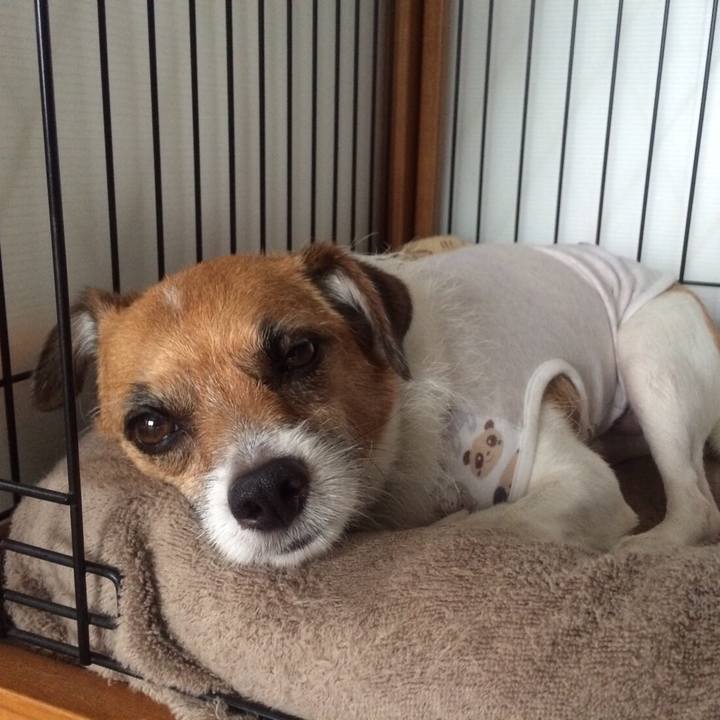 3a799de2 7d03 4bec ac12 bba3bda1e2b5