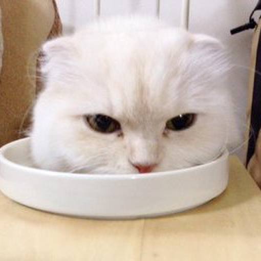 3a7ac274 e700 4a22 bb6f f972ca037163