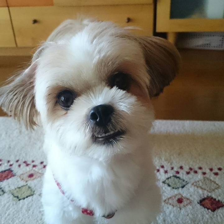 3a7aed0a 24e2 4ce1 8018 cec15e51e0c9