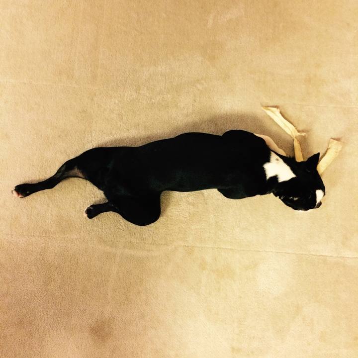 3a7b03ec ece9 4d95 9dce ea1b478df707