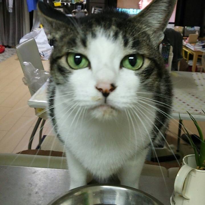 3a7b7ea7 9778 4f1f 884c 71069a40fd59