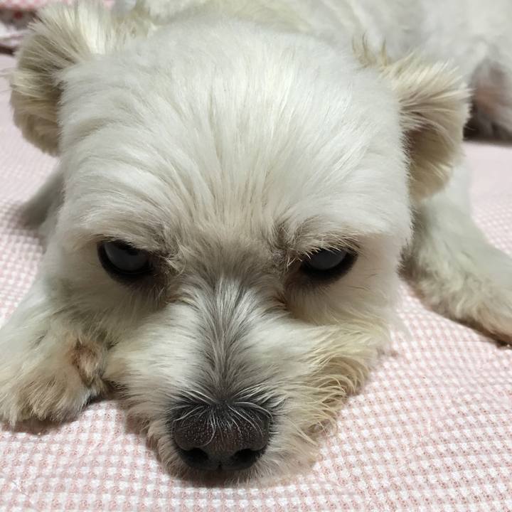 3a7bf45a fdbb 4614 a603 195617c96d61