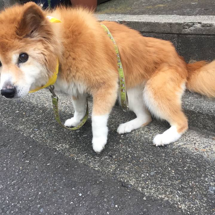 3a7c36a0 f4a1 4e24 90ea 145eee91eeef