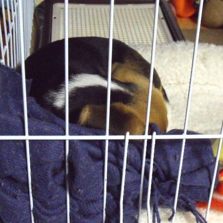 3a7d6cb9 90ee 46f8 8347 544819597b67