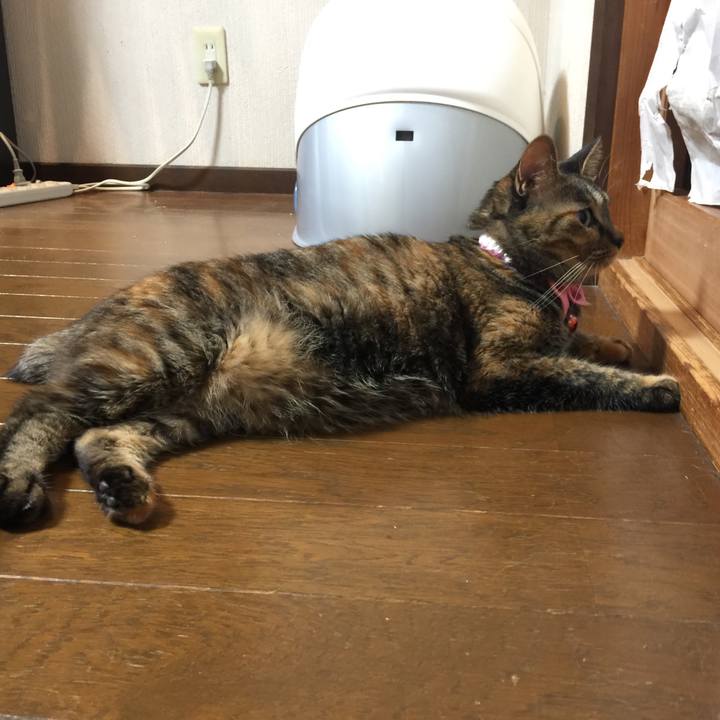 3a7d8b6b ef6c 4418 ac6b ce2ac76329ec