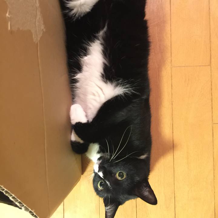 3a7e5938 e5b0 435e 848b d85ba1de51d3