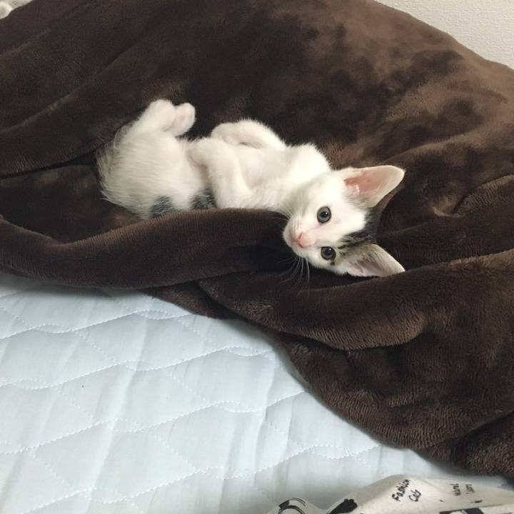 3a7e5b2f c227 446f ae17 bf238c37f081